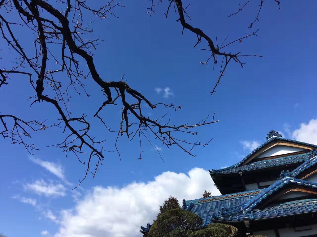 Kougetsu Sanso -- Moon Villa In Tokyo Hacsiodzsi Kültér fotó
